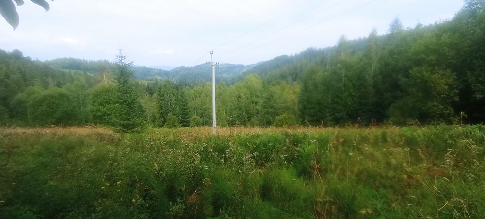 Земельна ділянка