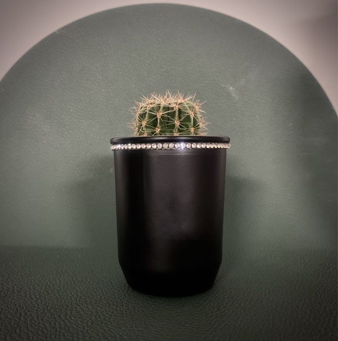 Kaktus  w doniczce ozdobnej