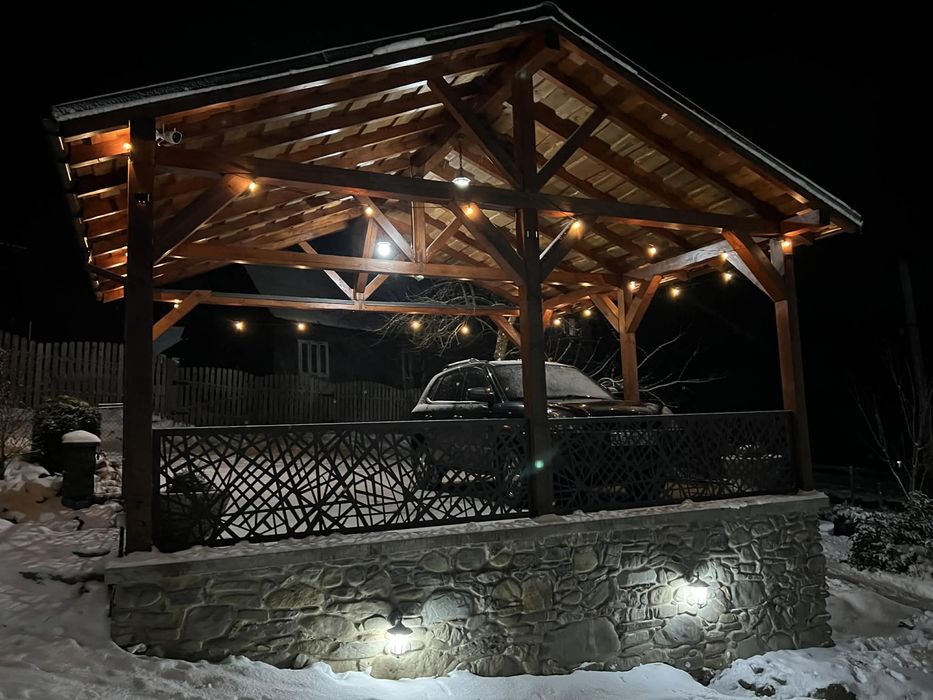 Будинок в Карпатах