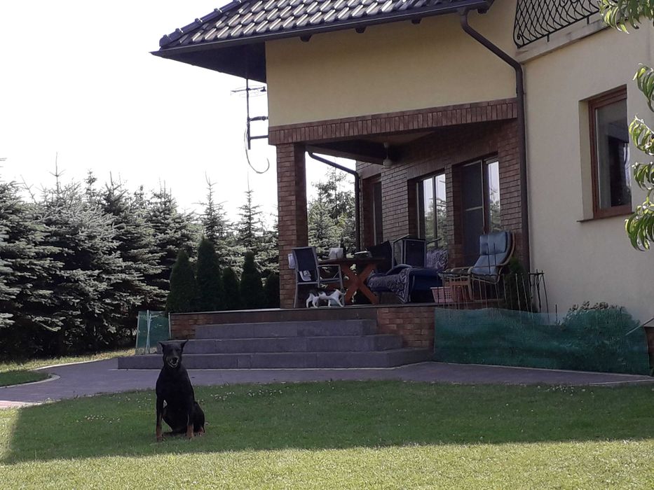 Agroturystyka Kamień Krajeński