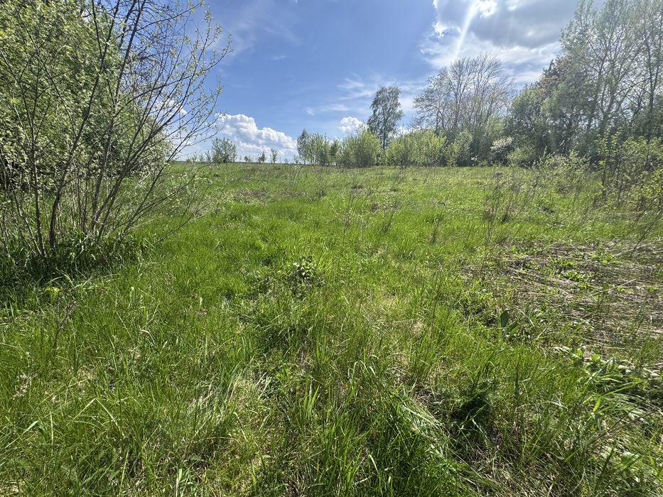 Продаж земельної ділянки  в Смиківцях