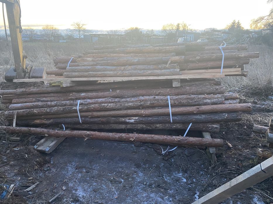 Stemple budowlane / żerdzie sosnowe – ok. 150 szt.