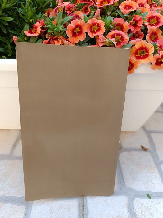 O Simbolismo de Camilo Pessanha