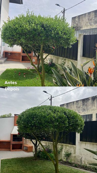 Manutenção de jardins