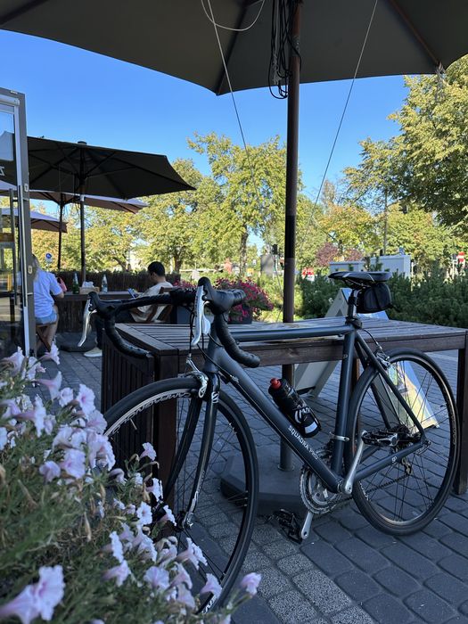 Rower szosowy, kolarzówka, campagnolo veloce pełna grupa