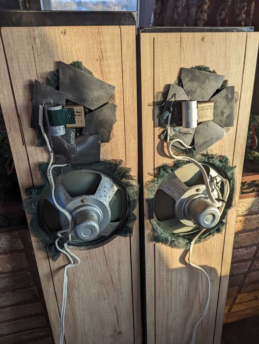 Акустика  (SABA Greencone)