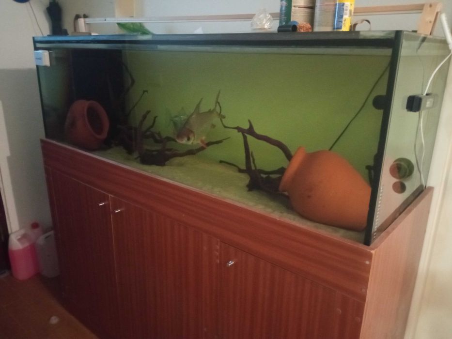 Vende-se aquario