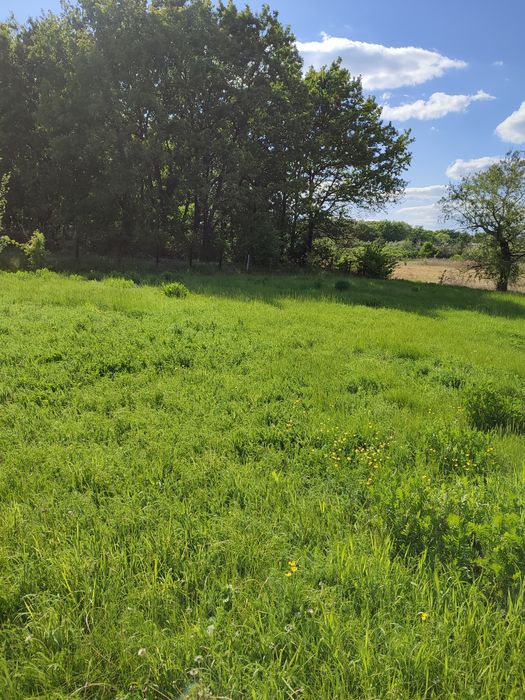 Продам участок,орловщина