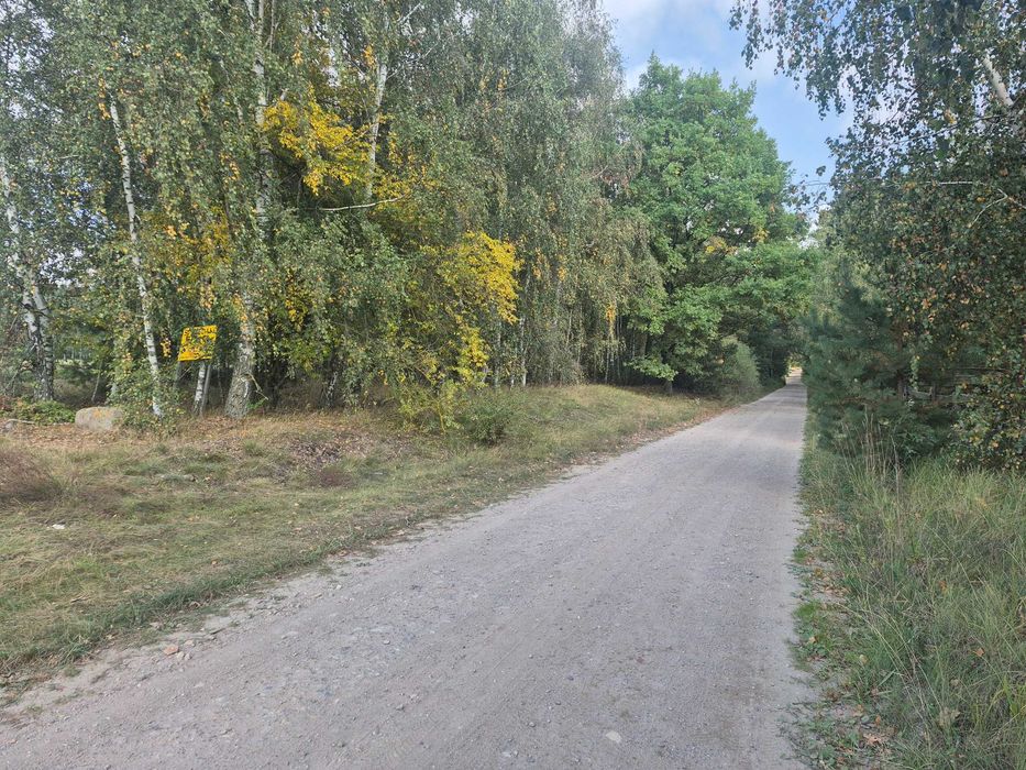 Szukasz ciszy ? spokoju ? otoczenia przyrody ? dookoła lasy , niedaleko jezioro , od Poznania około 40km ,Zajączkowo gmina Pniewy