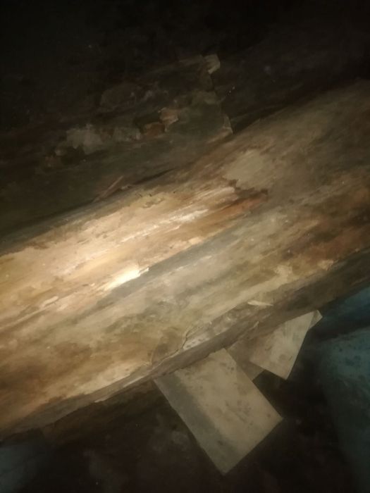 Отдам дрова бесплатно