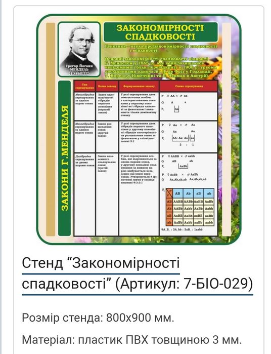 Стенд у кабінет біології Закони Менделя