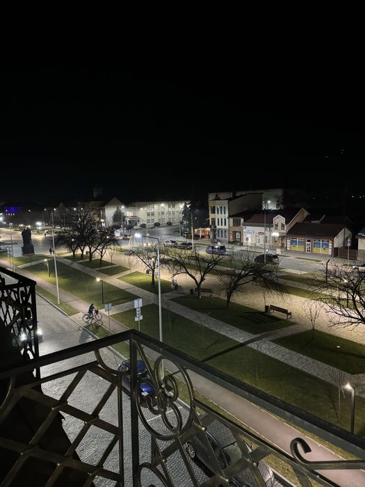 Здається 1 кімнатна квартира