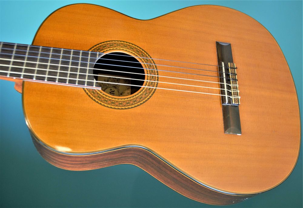 Takamine Elite classic  z lat siedemdziesiątych