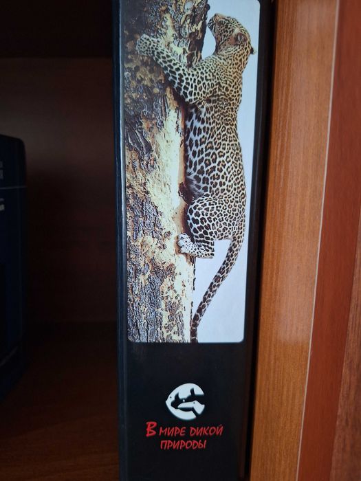 Енциклопедія "У світі дикої природи"