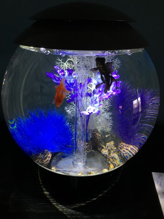 Aquario Biorb Halo 30