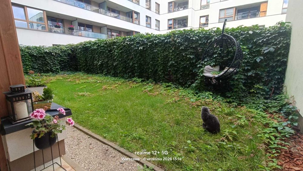 Zdjęcie 7