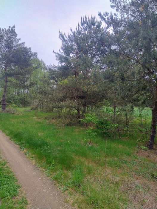 Sprzedam działki budowlane Wladyslawowo Nowe Miasto – pohled 5