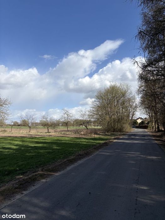 Działka budowlana z mediami blisko Płocka - Widok 4