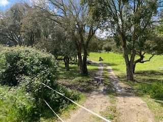 Aceitamos cavalos a pasto