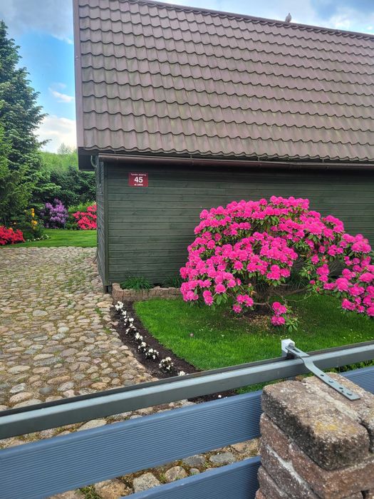 Działka z domkiem letniskowym Tarnów Jezierny