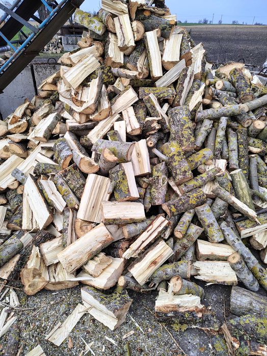Drewno opałowe łupane