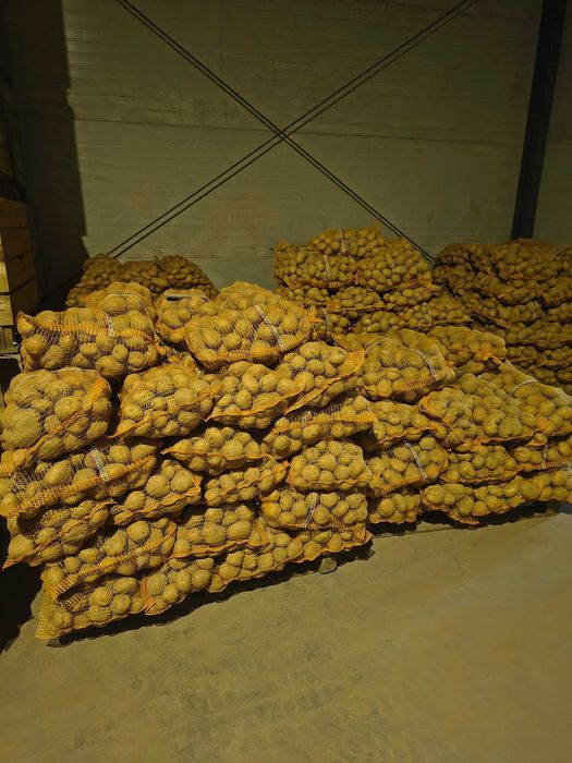 Sprzedam ziemniaki jadalne