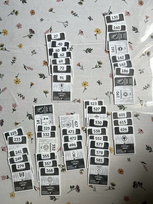 Panini premier league