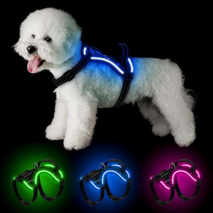 Шлея з підсвічуванням для собак