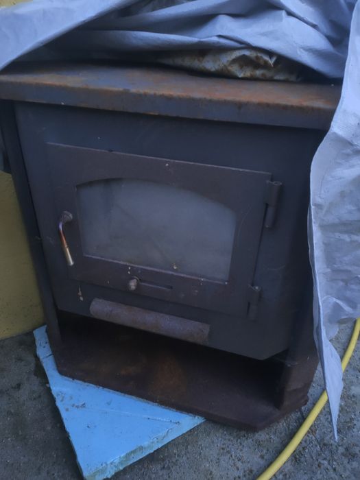 Salamandra Para vender