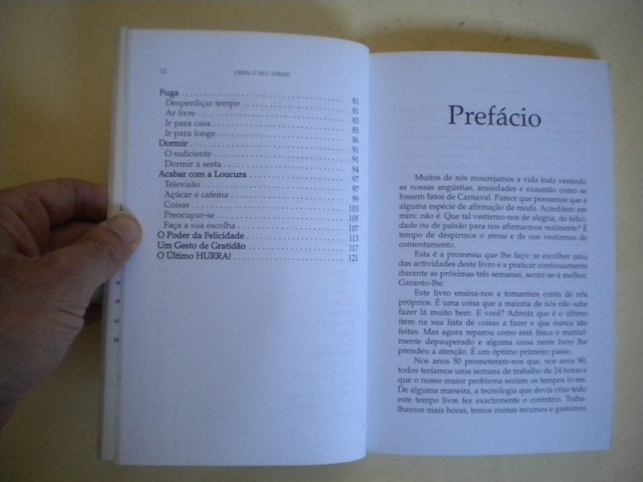 Dispa o Seu Stress de Lois Levy