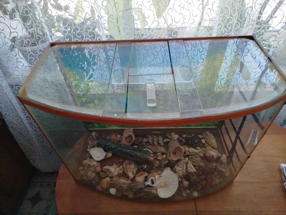 Акваріум, тераріум