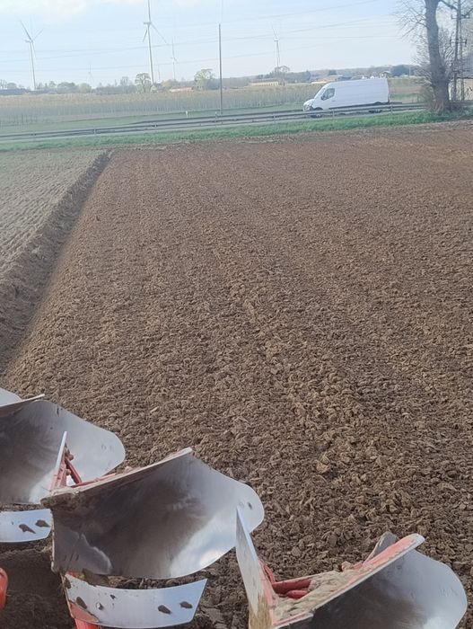 Kuhn  kuhn kuhn kuhn