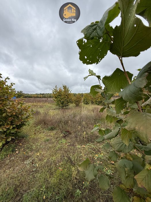 Продам 1.4га під садівництво, засаджено горіхами, бізнес, 40кмКиїв