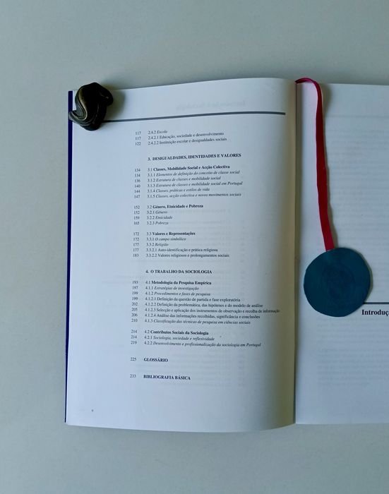 Introdução à sociologia