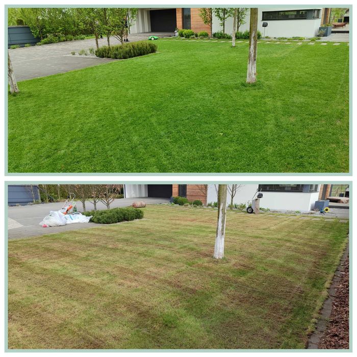 Zakładanie i pielęgnacja trawników