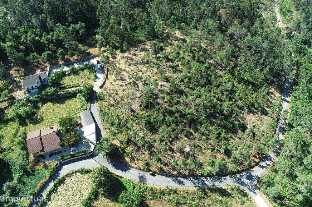 Terreno com viabilidade de construção com cerca de 3540m2 — Couto De Baixo E Couto De Cima, Viseu