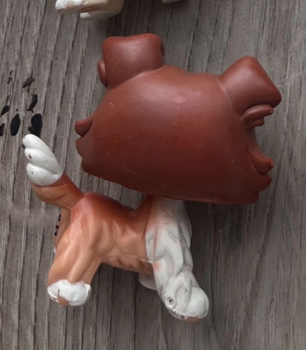 Lps ruda collie 1542