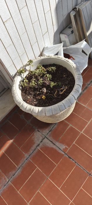Vaso de exterior em Cerâmica