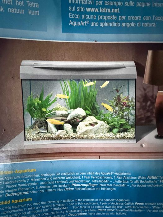 Akwarium TETRA AQUAART 60L — komplet