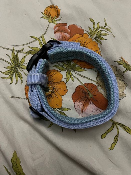 Нашийник для собаки