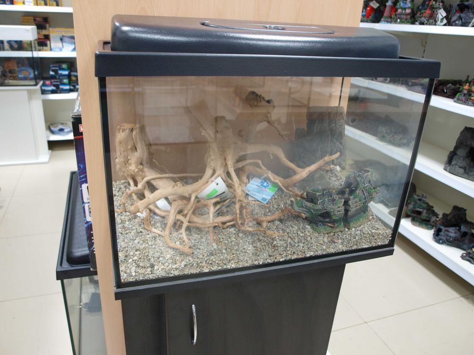 Korzenie do akwarium i terrarium.