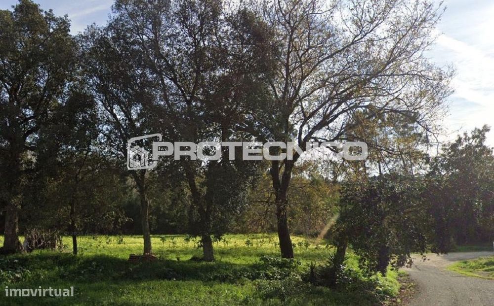 Terreno c/ 1.400m2 – Carregal