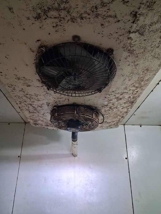 Câmara Frigorífica