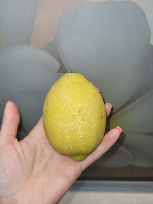 Лимон іграшковий пласмасовий