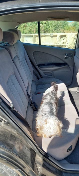 Para peças Nissan Almera 1.5i gasolina ano2001 todas as peças disponív