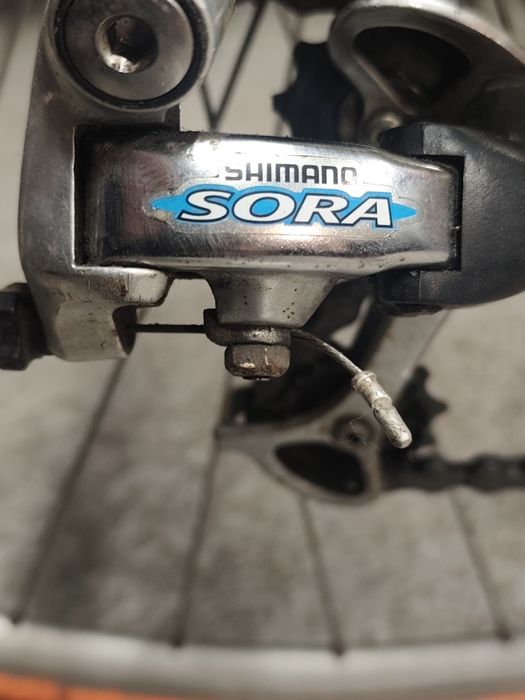 Focus rower szosowy sprzedam lub zamienię.