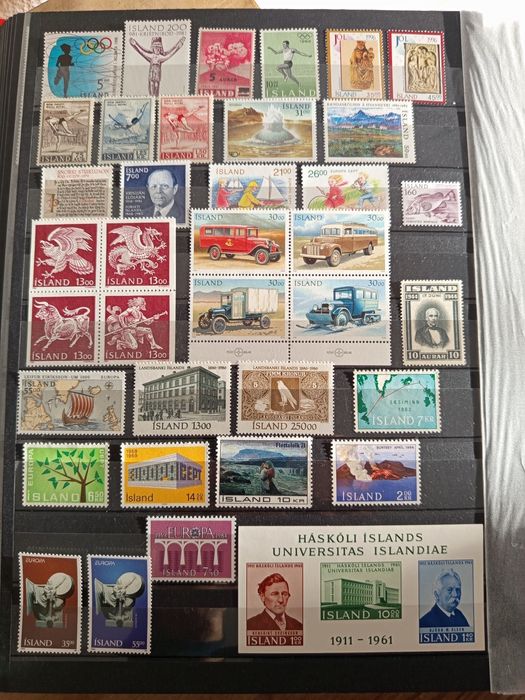 Selos Islândia .