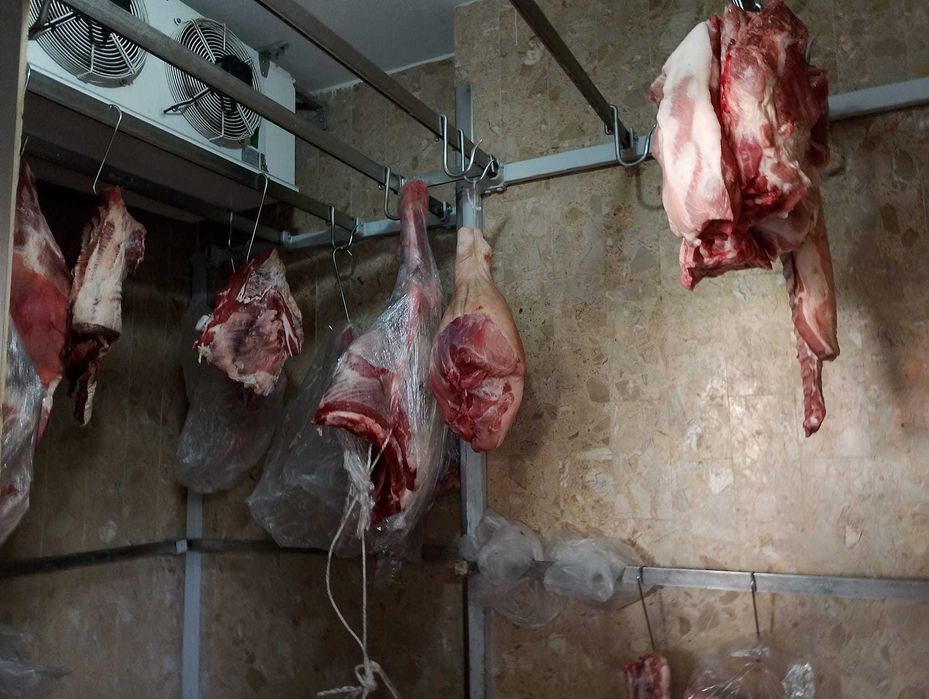 Trespasse de Talho em Pleno Funcionamento – Excelente Localização