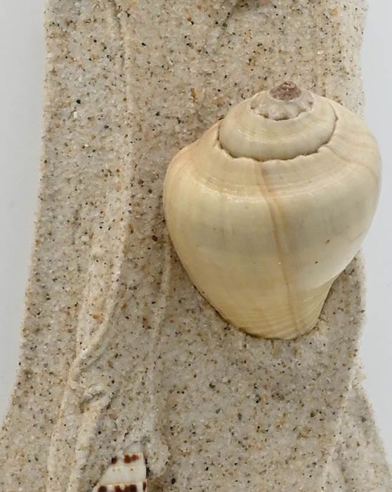 Beach Sea Decorative Jar429128173078466561