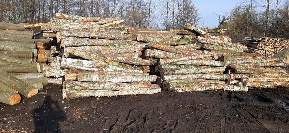 Drewno opoałowe kominkowe bukowe dębowe